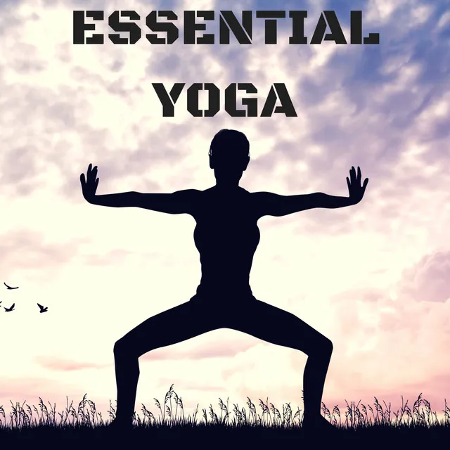 Essential Yoga: Music for Yoga Asanas, Instrumental Songs for Yoga Practice, Hatha, Kundalini