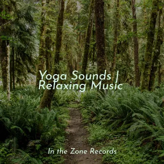 Yoga Sounds | Relaxing Music by Música Para Meditar y Relajarse