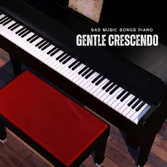 Gentle Crescendo: Soft Piano Music by Unknown Artist