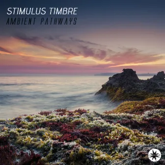 Ambient Pathways by Stimulus Timbre