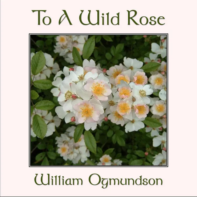 To a Wild Rose