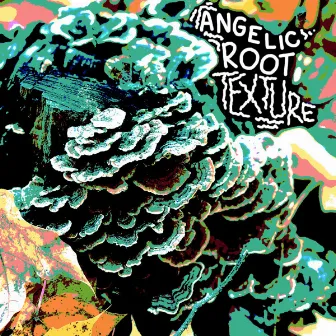 T E X T U R E EP by Angelic Root