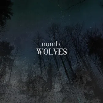 Wolves (As Cities Burn/My Own Passenger) by NUMB