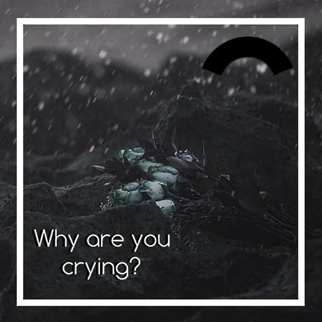 Why Are You Crying?