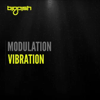 Vibration by Modulation