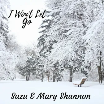 I Won't Let Go by Sazu