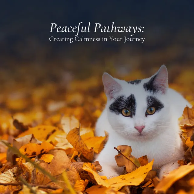 Peaceful Pathways: Creating Calmness in Your Journey