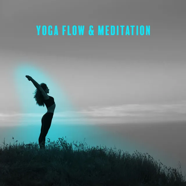 Yoga Flow & Meditation: Yoga Music With Nature Sounds for Vinyasa Flow Yoga