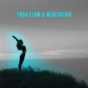 Yoga Flow & Meditation: Yoga Music With Nature Sounds for Vinyasa Flow Yoga by Positive Yoga Project