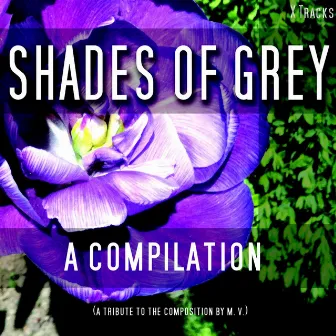 Shades of Grey - Classical Compilation (Fifty Tracks) by Falk Richter