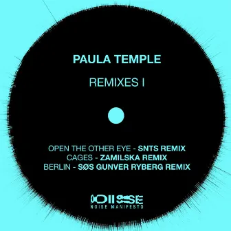 Edge Of Everything Remixes 1 by Paula Temple