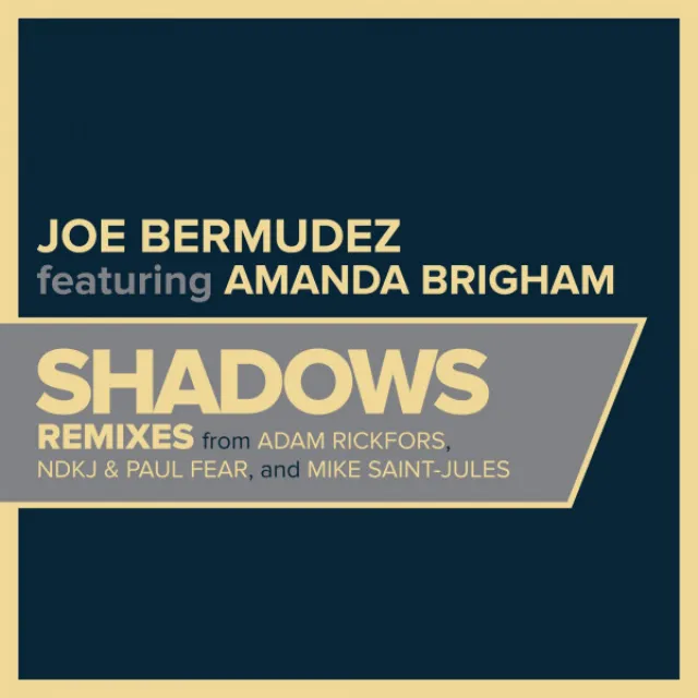 Shadows - Adam Rickfors Remix Instrumental