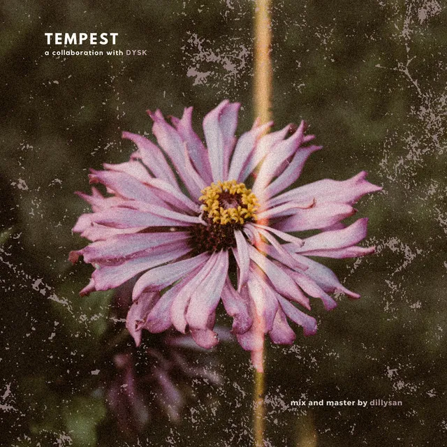 Tempest