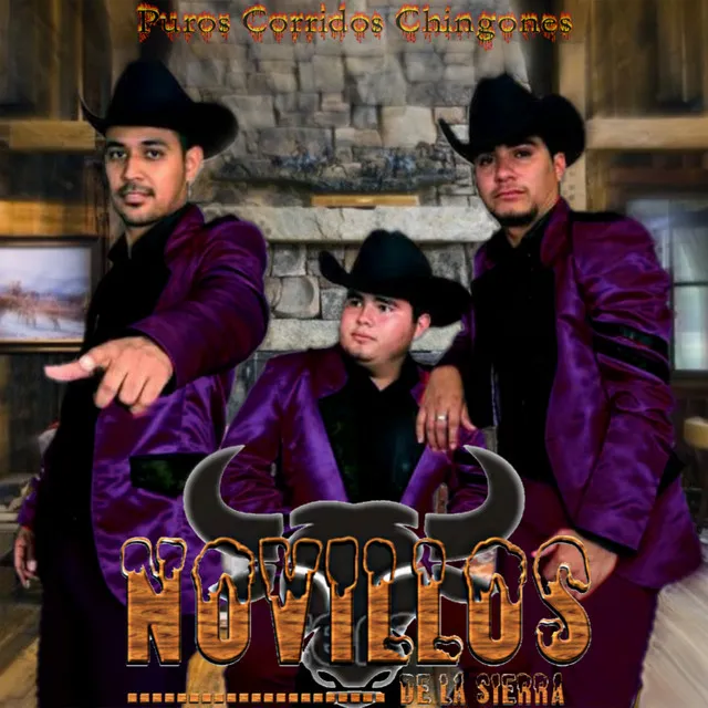 Puros Corridos Chingones