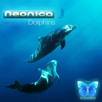 Dolphins by Neonica