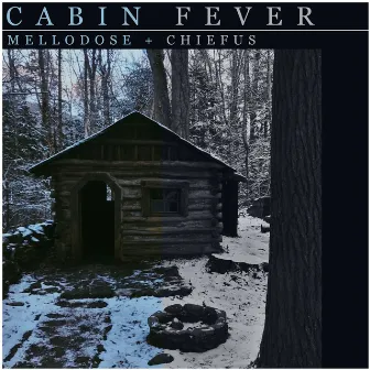 Cabin Fever by Chiefus