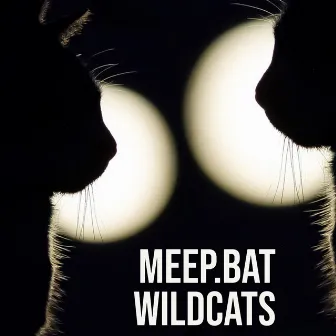 Wildcats by Meep.bat