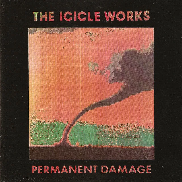 Permanent Damage