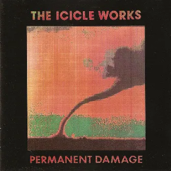 Permanent Damage by The Icicle Works