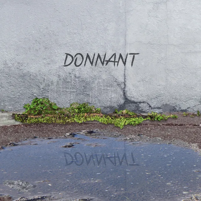 Donnant Donnant