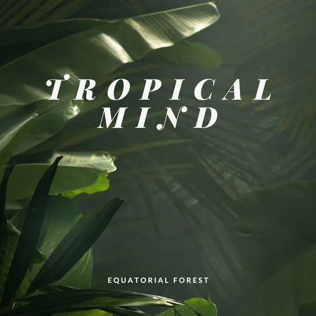 Equatorial Forest