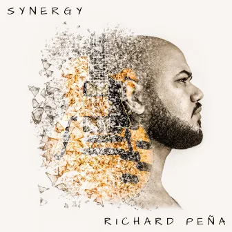 Synergy by Richard Peña