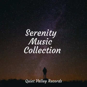 Serenity Music Collection by Relaxation Sleep Meditation