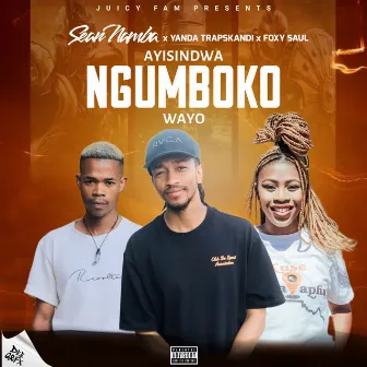 Ayisindwa Ngumboko Wayo by Sean Namba