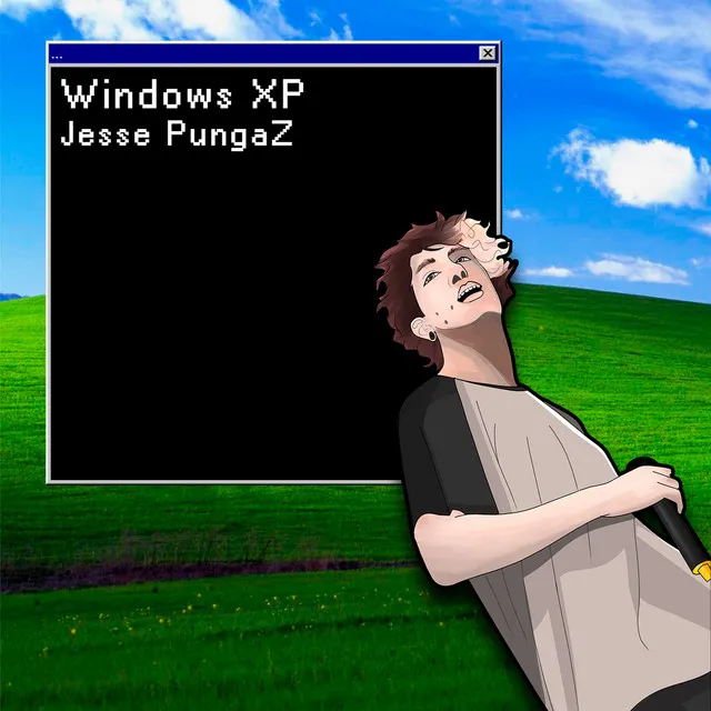 Windows Xp