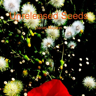 Unreleased Seeds by Daniel Masson