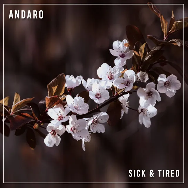 Sick & Tired - Radio Edit