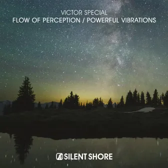 Flow Of Perception / Powerful Vibrations by Victor Special