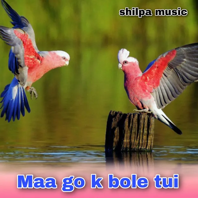 Maa go k bole tui