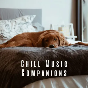 Chill Music Companions: Serene Melodies for Dogs by 