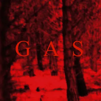 GAS by Wolfgang Voigt