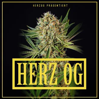 Herz OG by Herzog