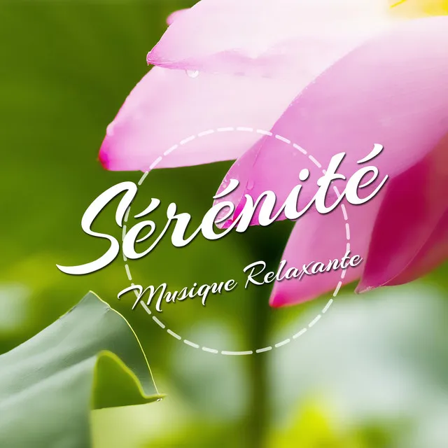 Sérénité: Musique Relaxante et Musique Classique pour Dormir, Musique Zen Relaxante pour Travailler se Concentrer Étudier Calmement.