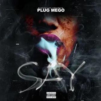 Say by Plug Mego