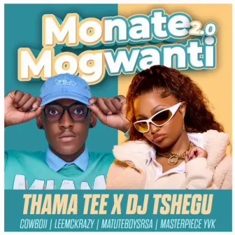 Monate mogwanti 2.0 (feat. CowBoii, LeeMcKrazy, Matuteboyrsa & Masterpiece YVK) by DJ Tshegu