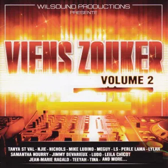 Viens zouker (Vol. 2 mixed by DJ Wilson) by Dj Wilson