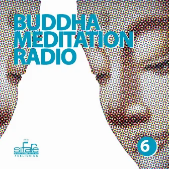 Buddha Meditation Radio, Vol. 6 (Relaxation and Wellness Music) by Andy Bruno