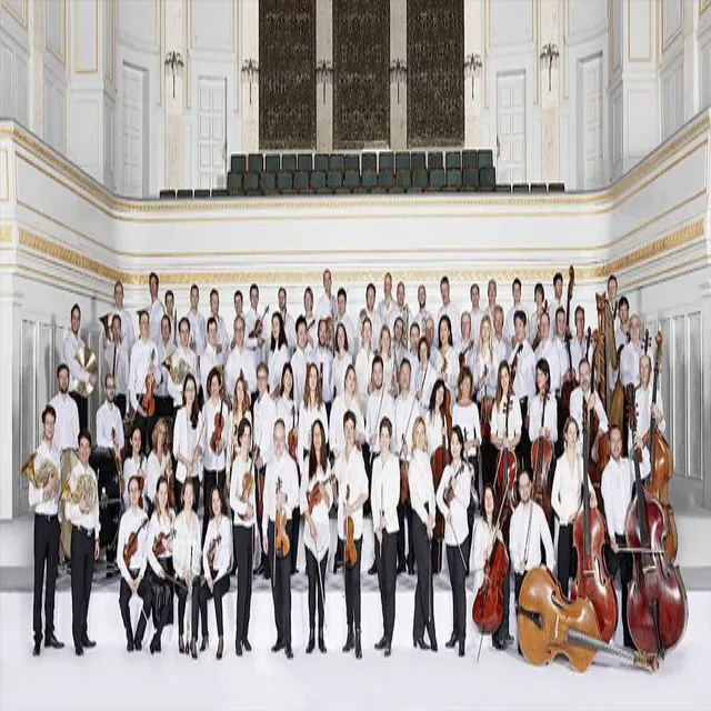 Berner Symphonieorchester