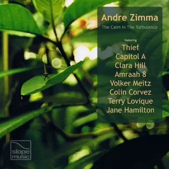 The Calm In The Turbulence by Andre Zimma