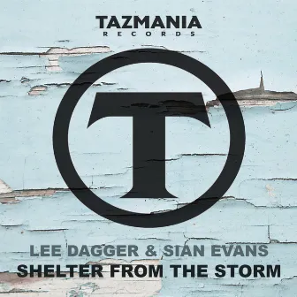 Shelter From The Storm by Lee Dagger