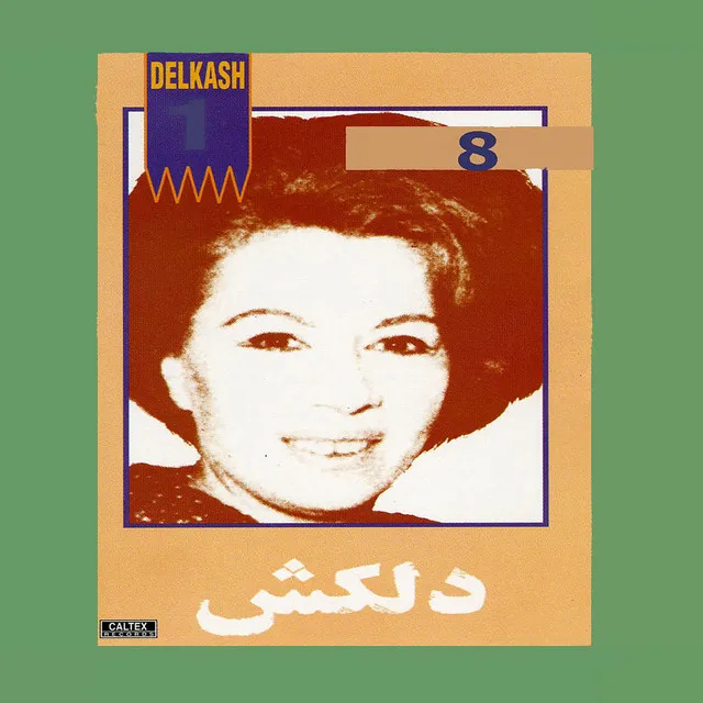 Yade Man Kon, Delkash 8 - Persian Music