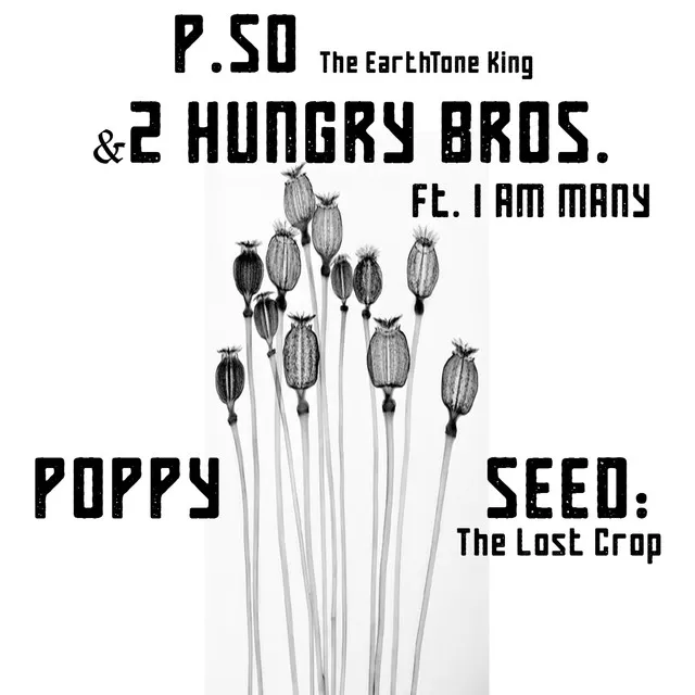 Poppy Seed: The Lost Crop