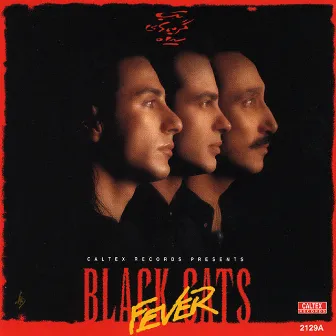 Black Cats Fever - Persian Music by Black Cats