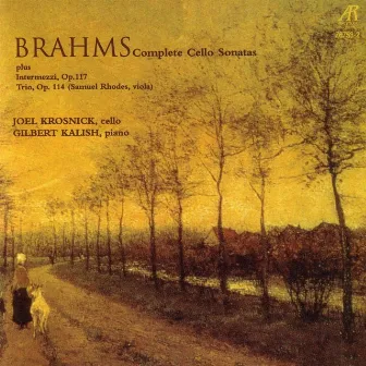 Brahms: Complete Cello Sonatas Plus Intermezzi, Op. 117, And Trio In A Minor, Op. 114 by Joel Krosnick