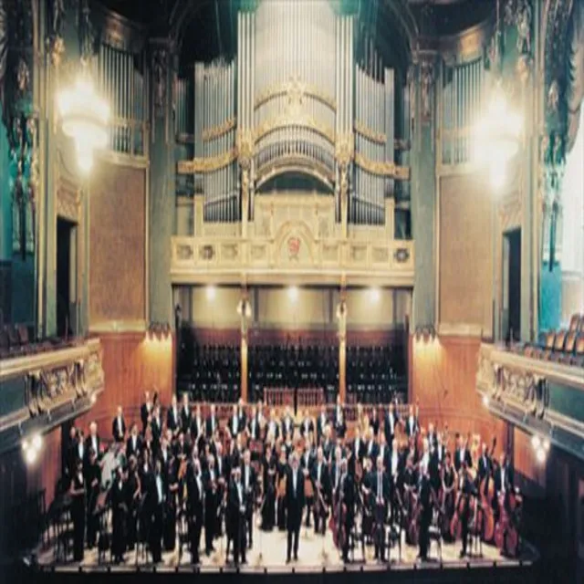 Hungarian National Philharmonic