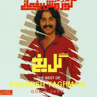 Gole Yakh - Persian Music by Kourosh Yaghmaei